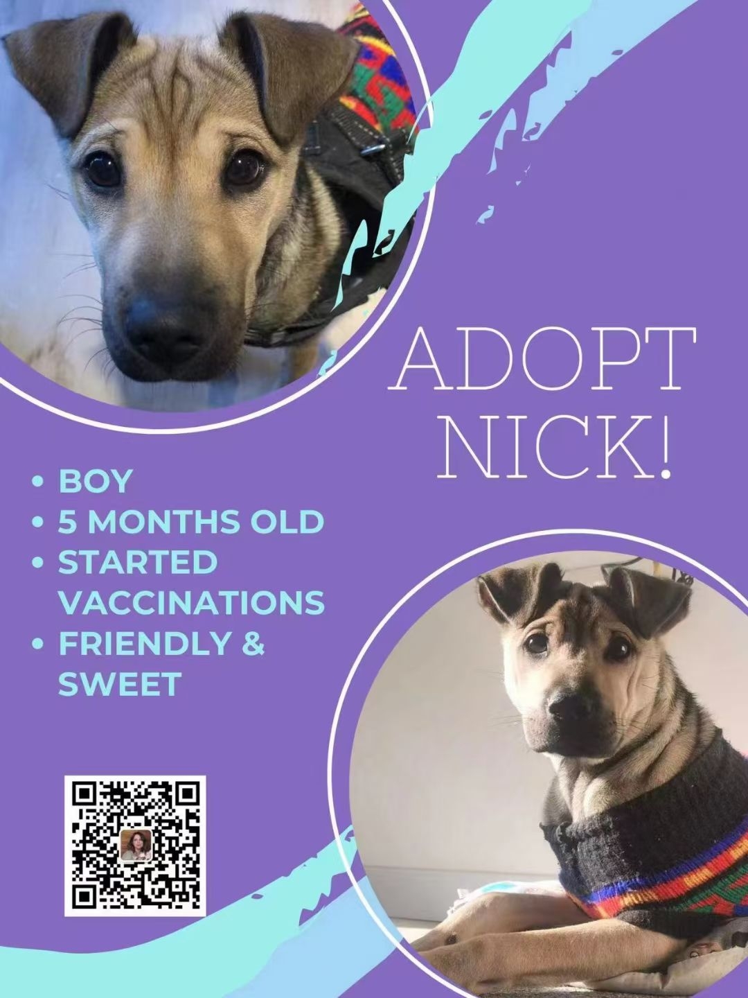 NICK is up for adoption _2