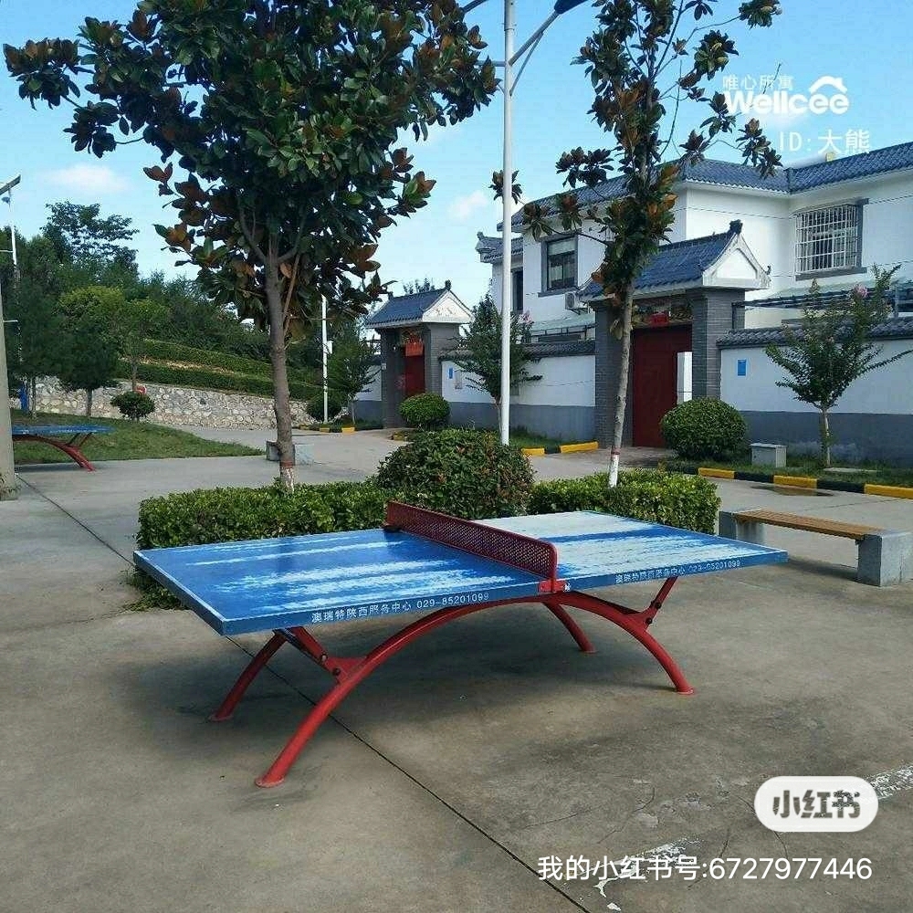 life_photo_2