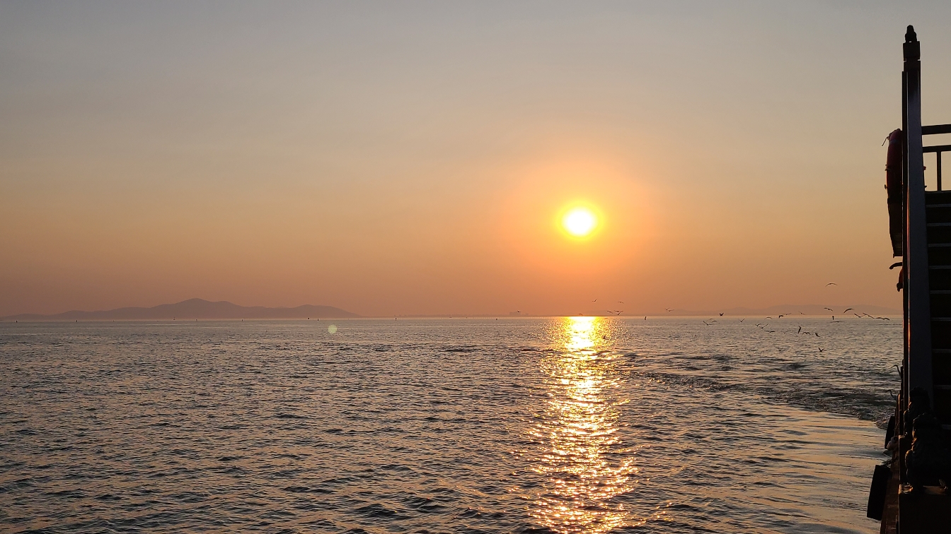 life_photo_1