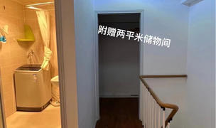 Beijing-Chaoyang-Long Term,Seeking Flatmate,Shared Apartment,Pet Friendly