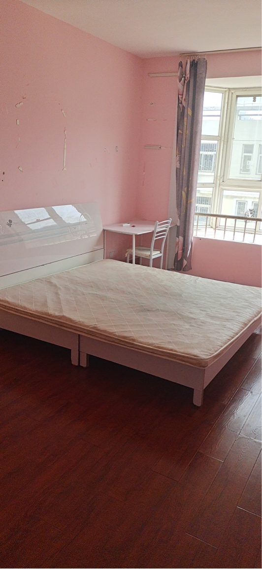 Zhengzhou-Jinshui-Cozy Home,Clean&Comfy,No Gender Limit