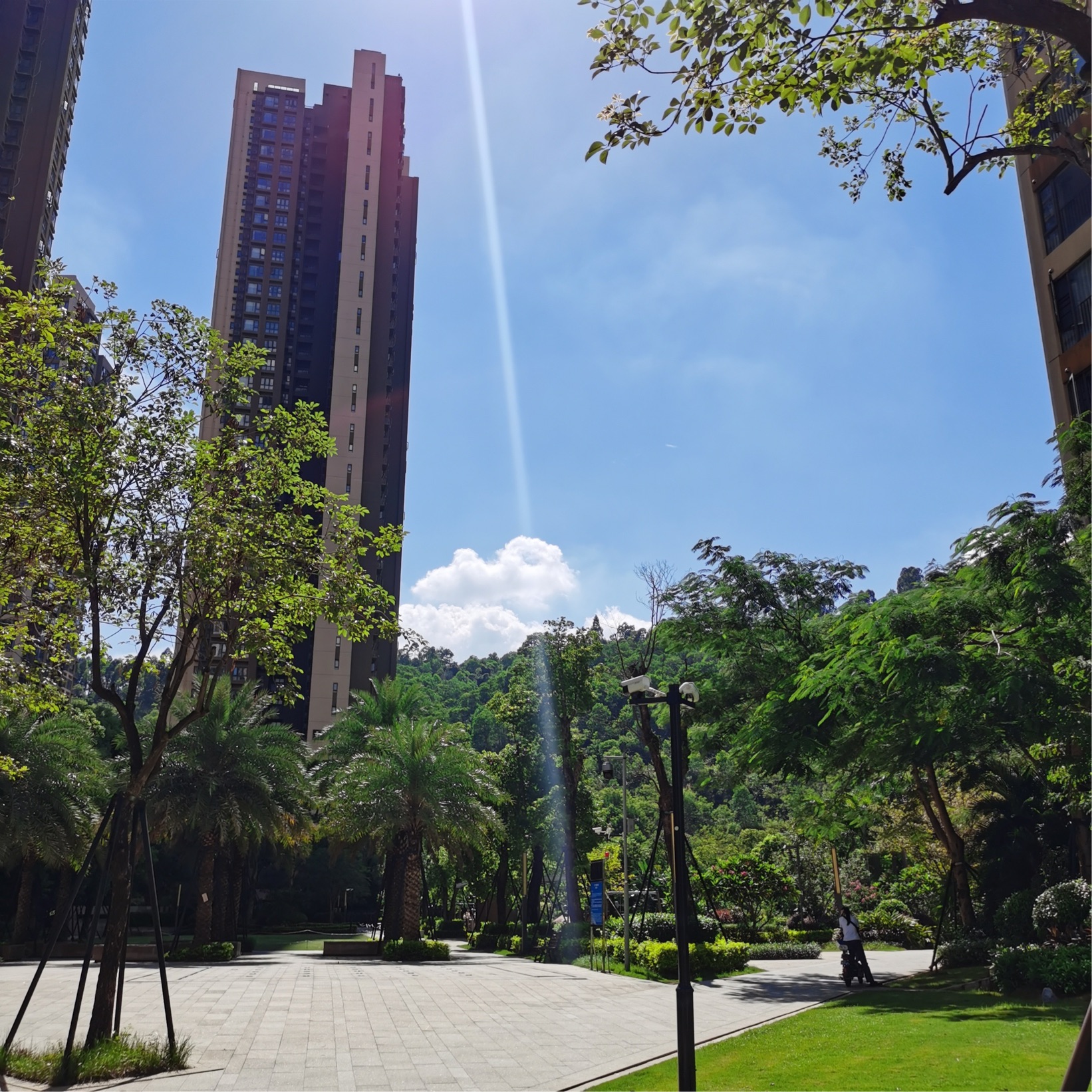 深圳-龍崗-溫馨小窩,乾淨治愈,不限性別