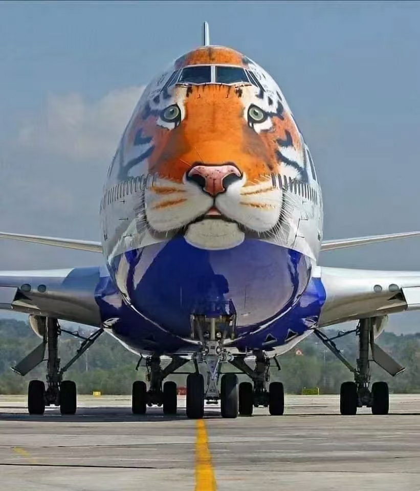 虎年快乐😃 虎年有对象  文艺范 