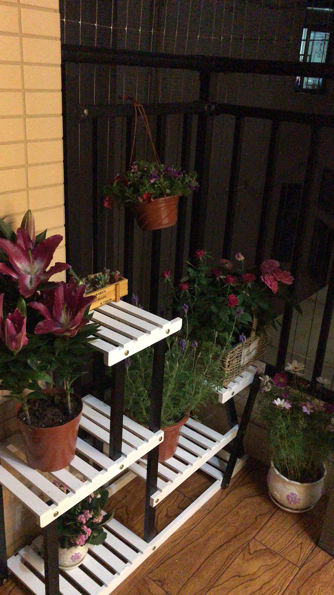 胡小姐整租房源3