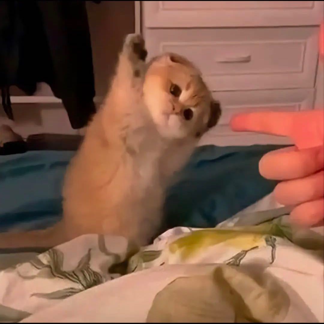 禾玄yyyy