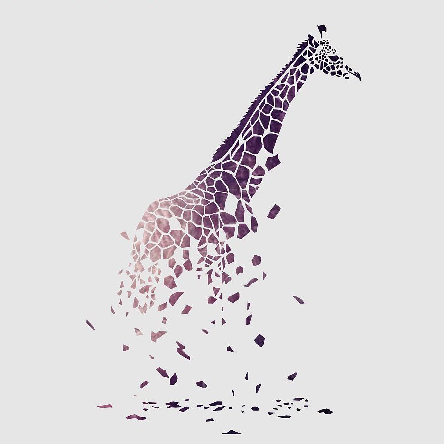 长颈鹿🦒