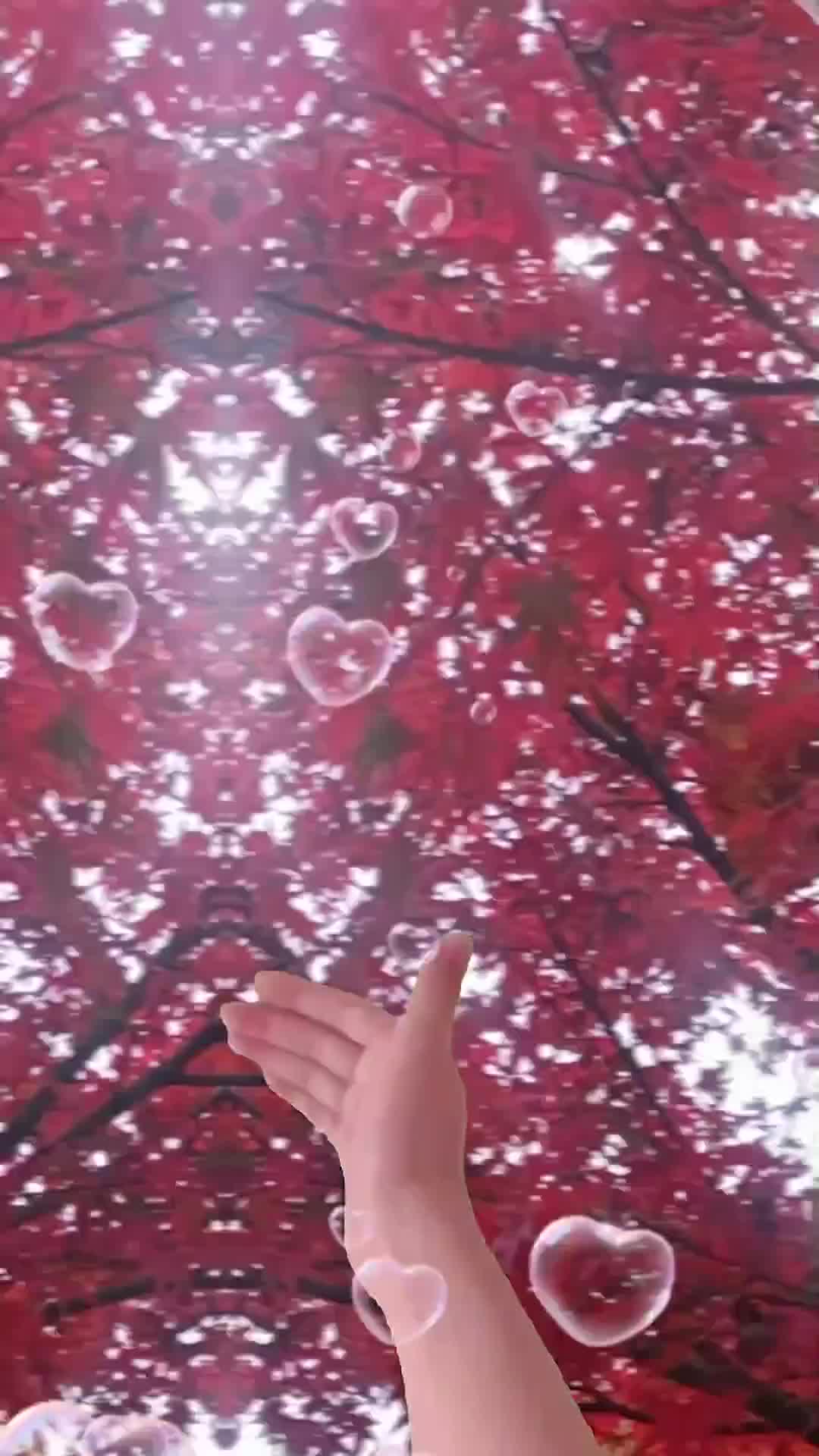 红叶如你，好运相随🍁