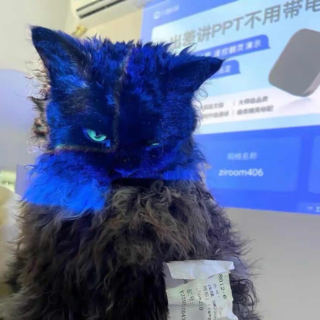 一看就是小学生