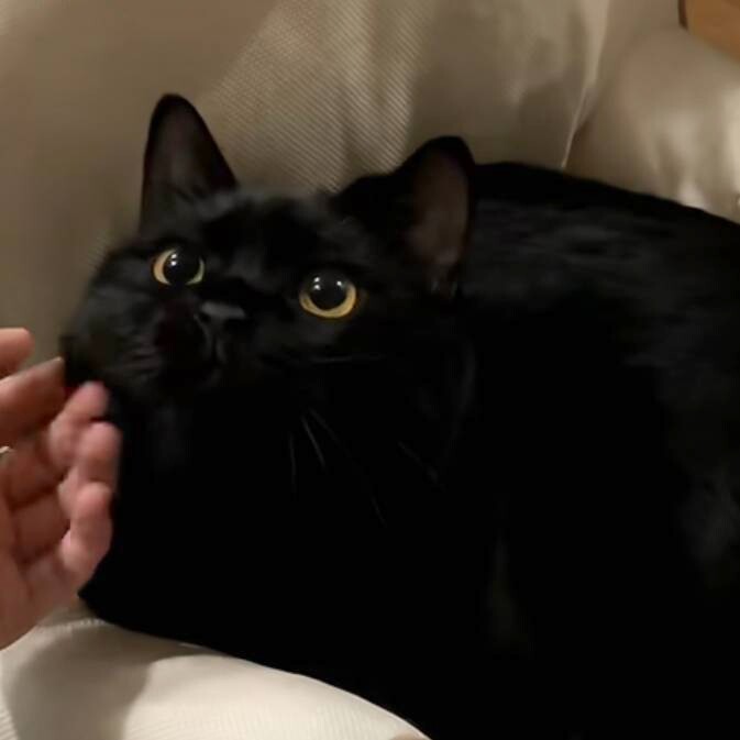 阿鬼.