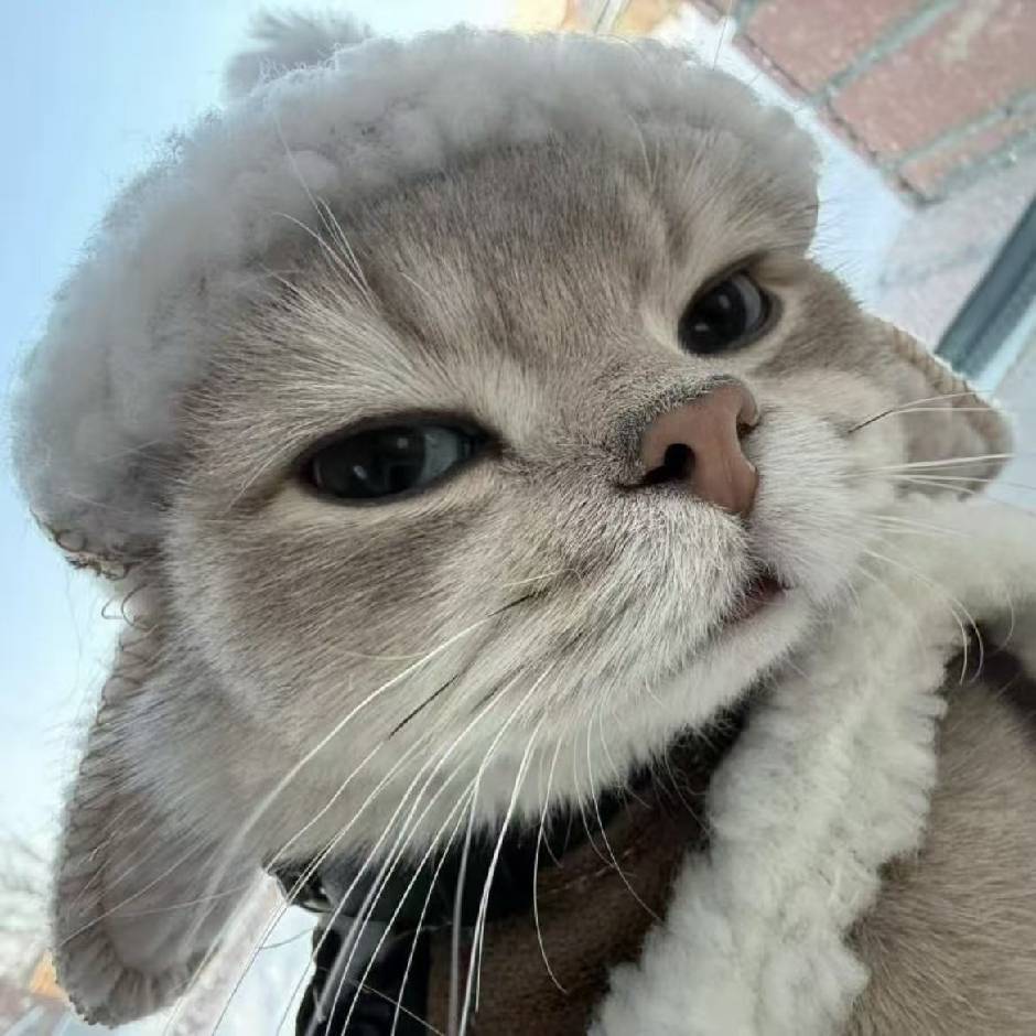 zahy