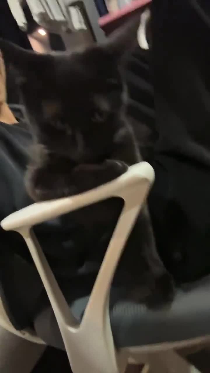 可爱   找搭子 