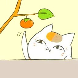 林姐
