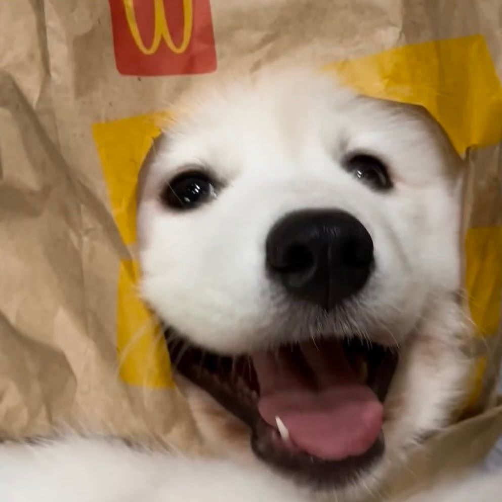 张张