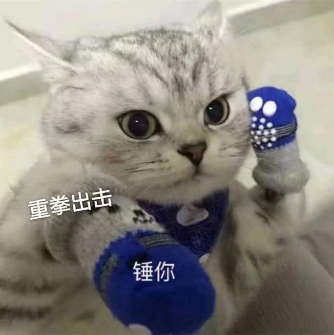 孤独的狼