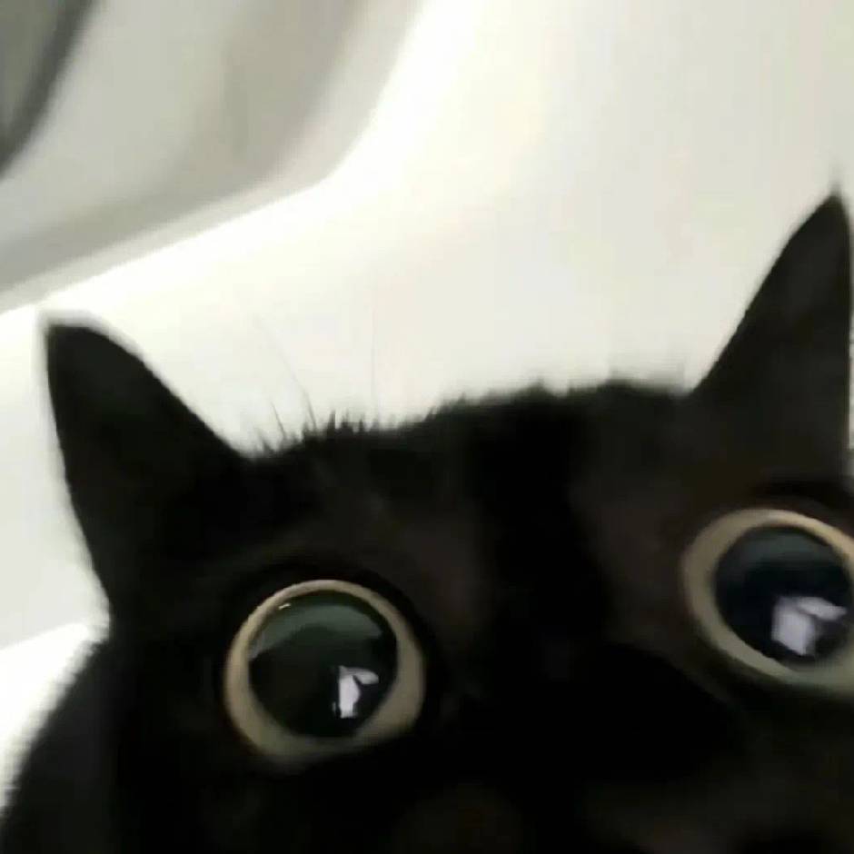 .（57）