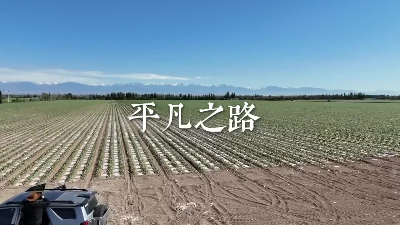 平凡之路：罗布泊东北段大海道