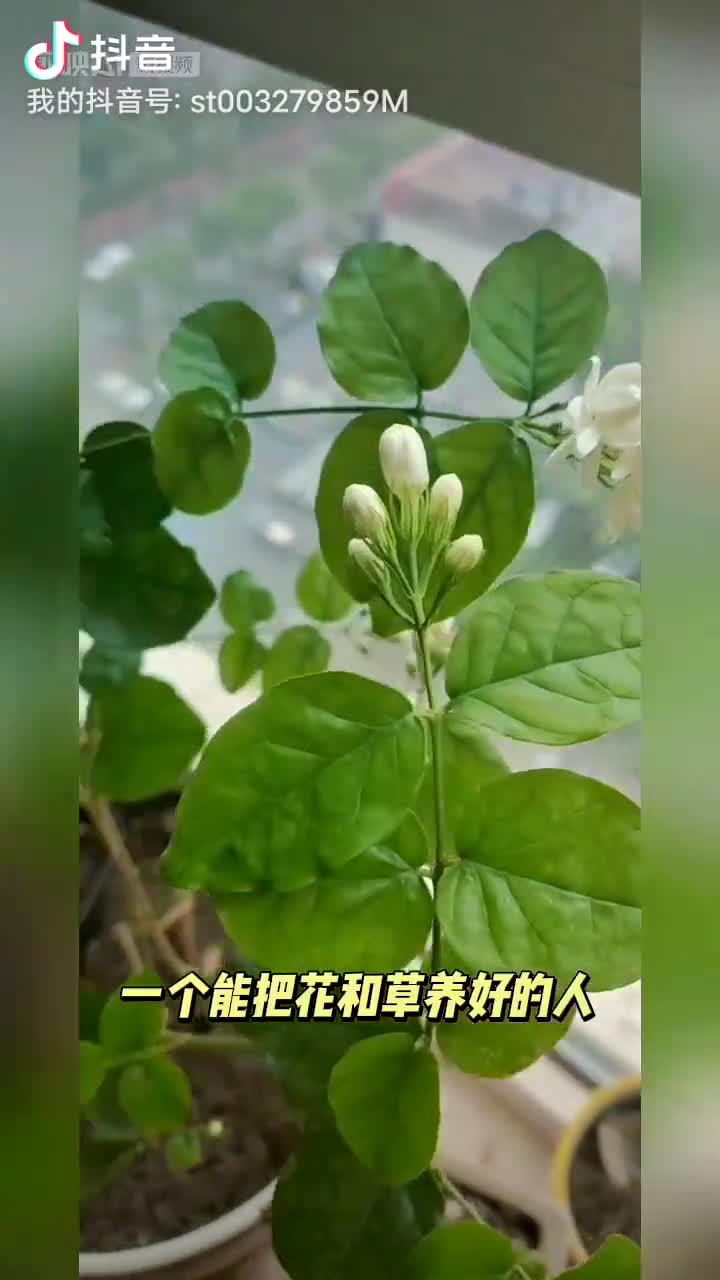 房东直租，黄金二楼