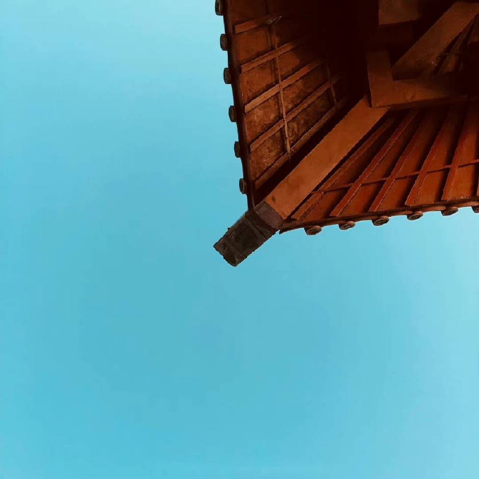坚果