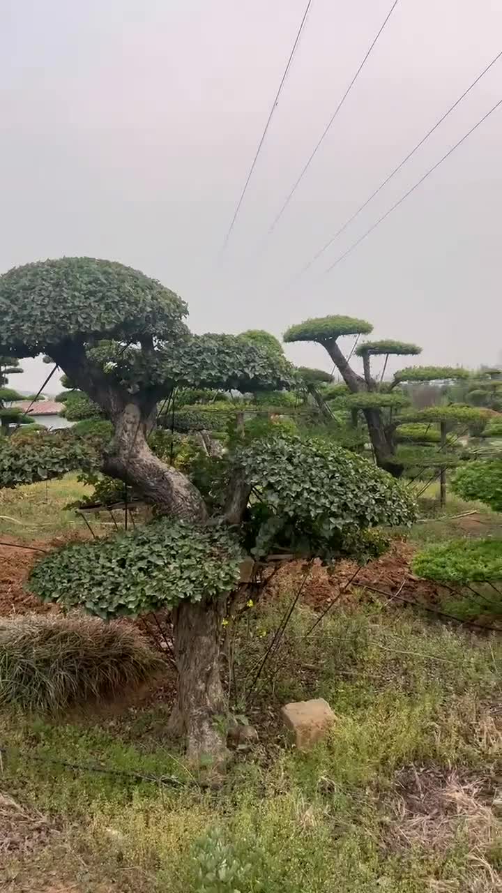  神仙房东看看我 