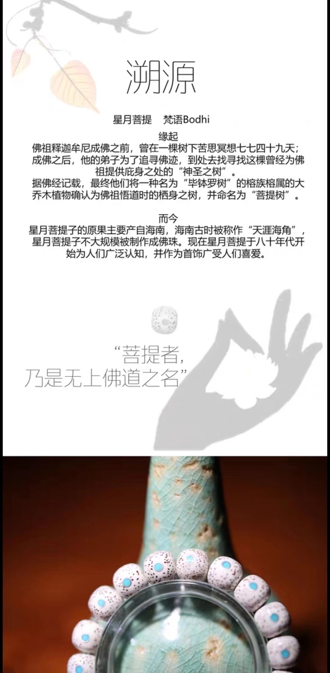 星月菩提镶月十八籽_3