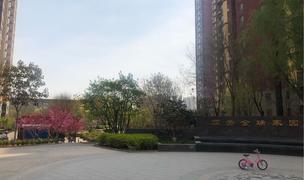 Beijing-Fengtai-Sublet,Shared Apartment