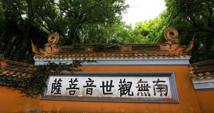 life_photo_2