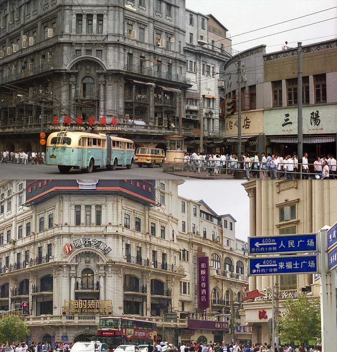 梧桐树下，海派风情，老上海，烟火气_2