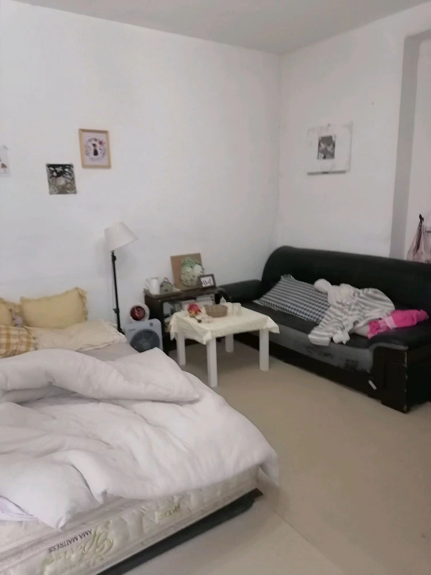Chengdu-Chenghua-房东直租,无押金,成华奥园,Pet Friendly,LGBTQ Friendly,Cozy Home,Clean&Comfy,No Gender Limit,Hustle & Bustle,“Friends”,Chilled
