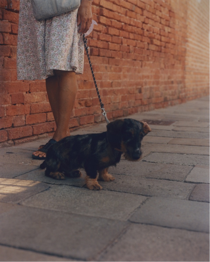 拍摄于2019年的米兰和威尼斯（顺便找完美室友啦）_3