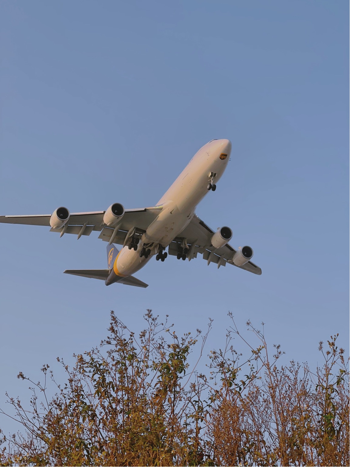 什么都带不走我对你的想念..._3