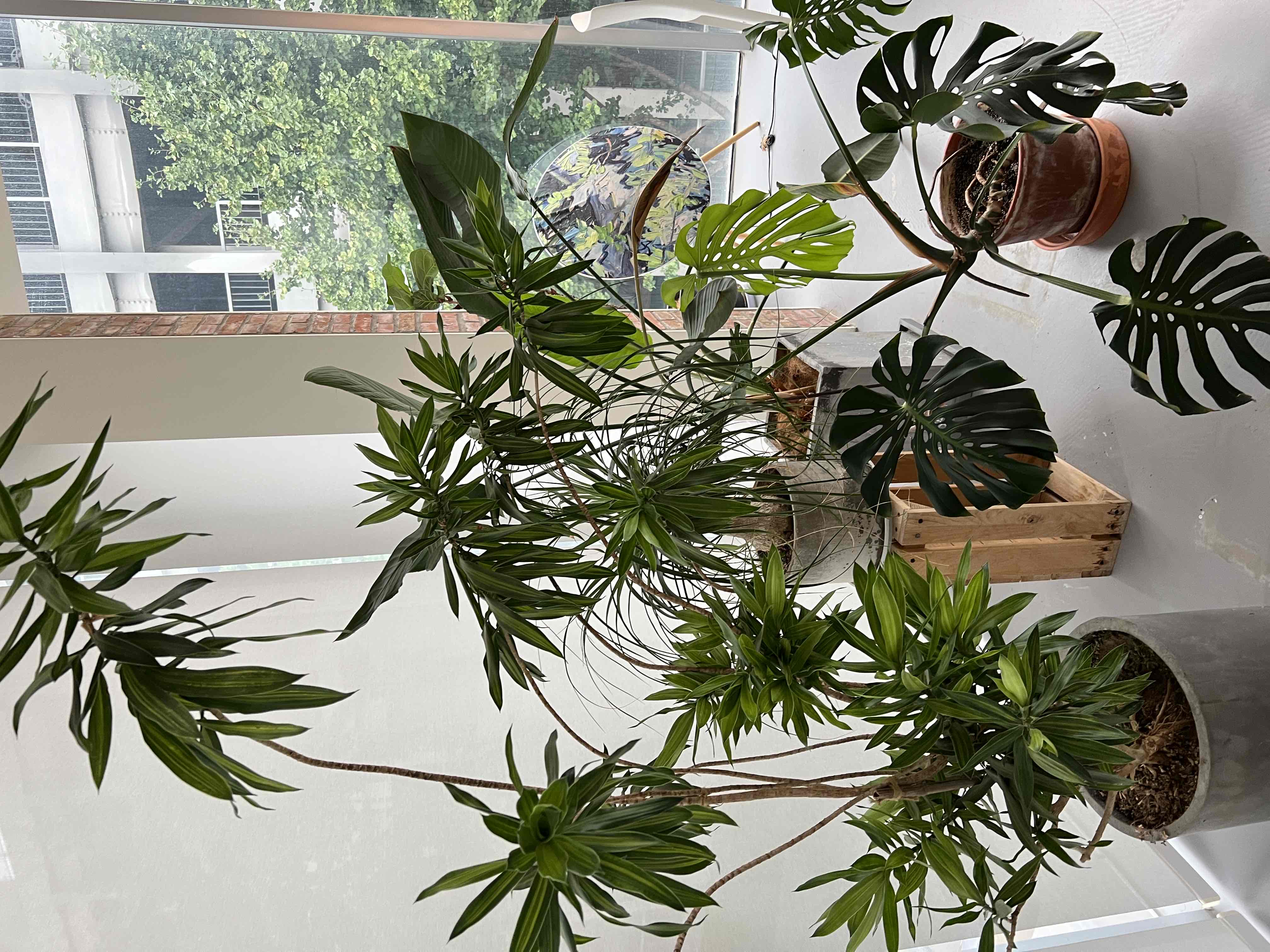 家边上的时尚聚集地~_3