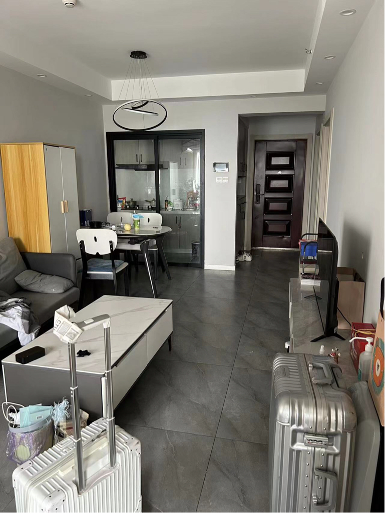 成都 高新區 | 新园大道_3