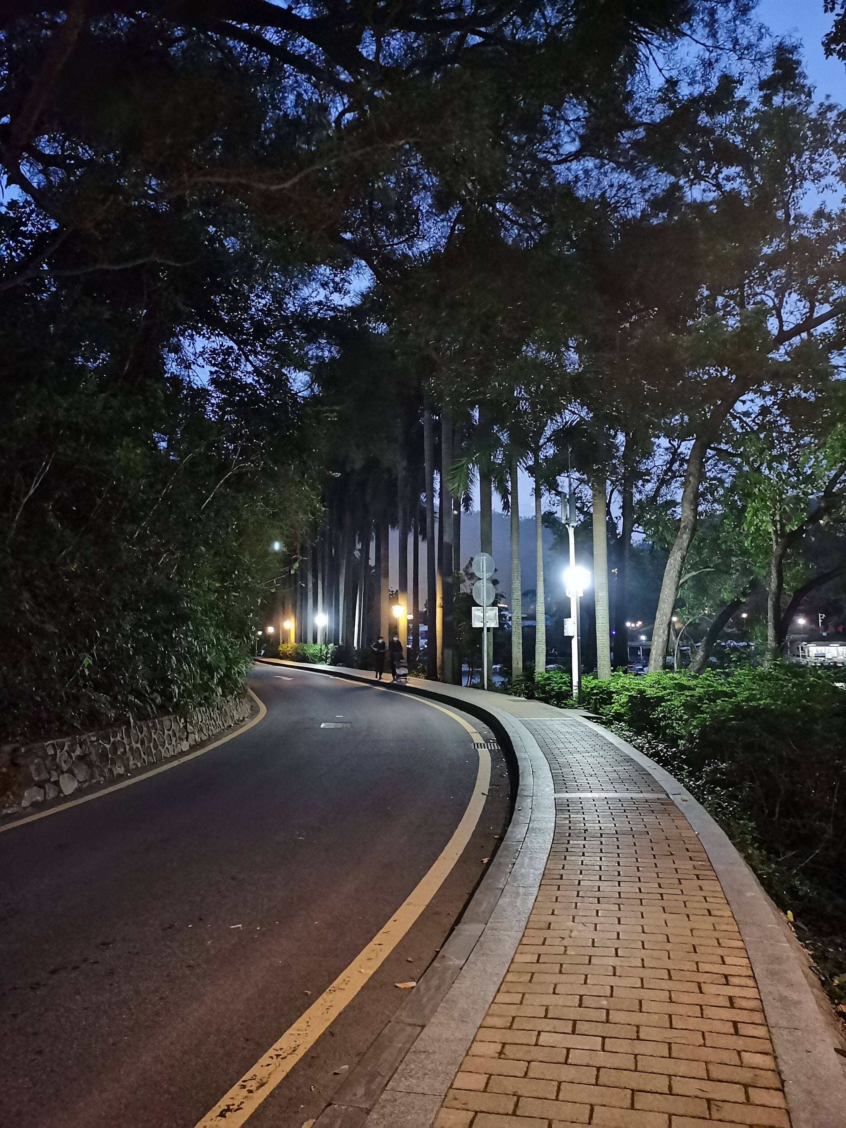 银湖水库_3