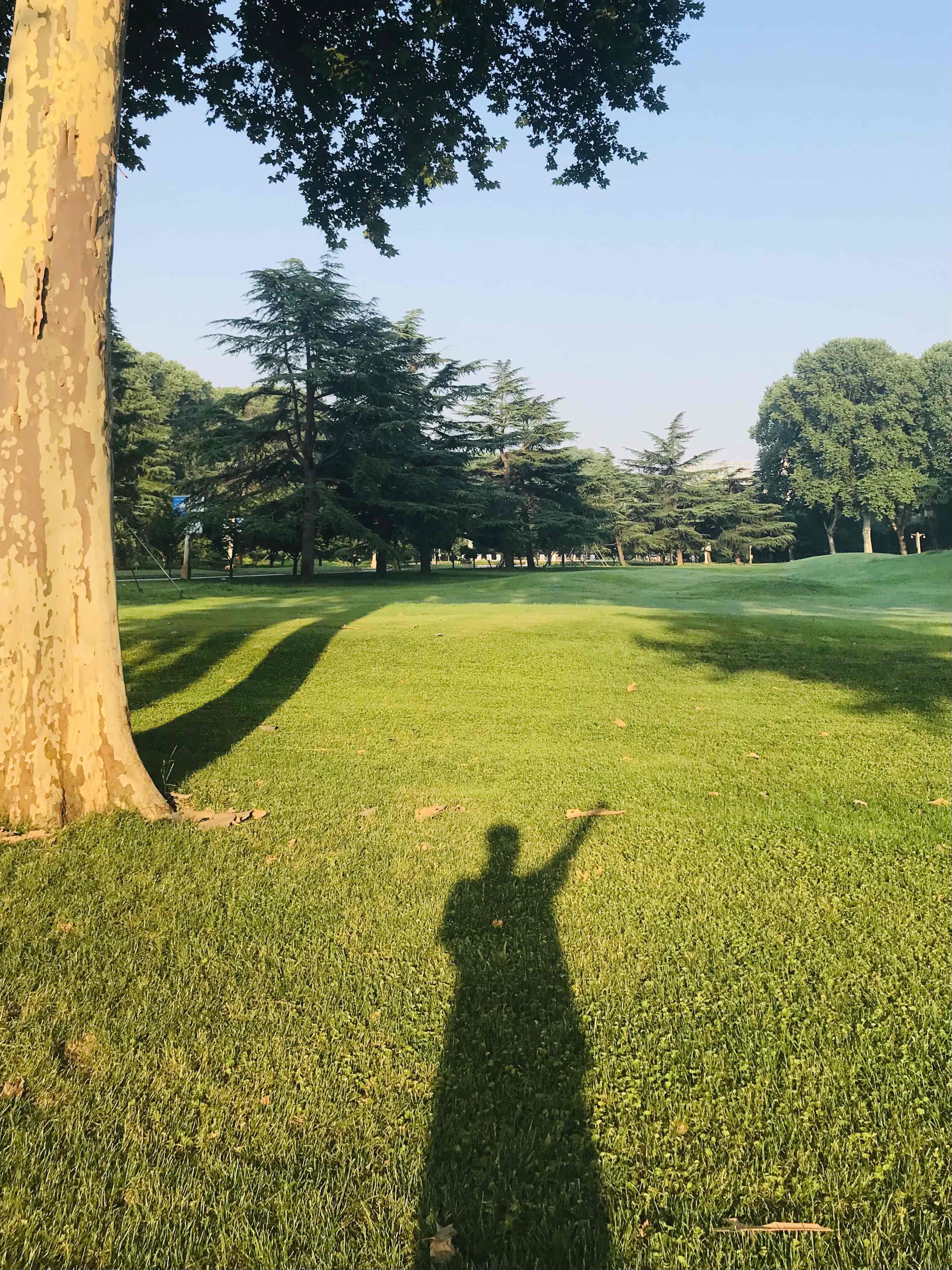 酷熱的夏天裡去哪裡？_3