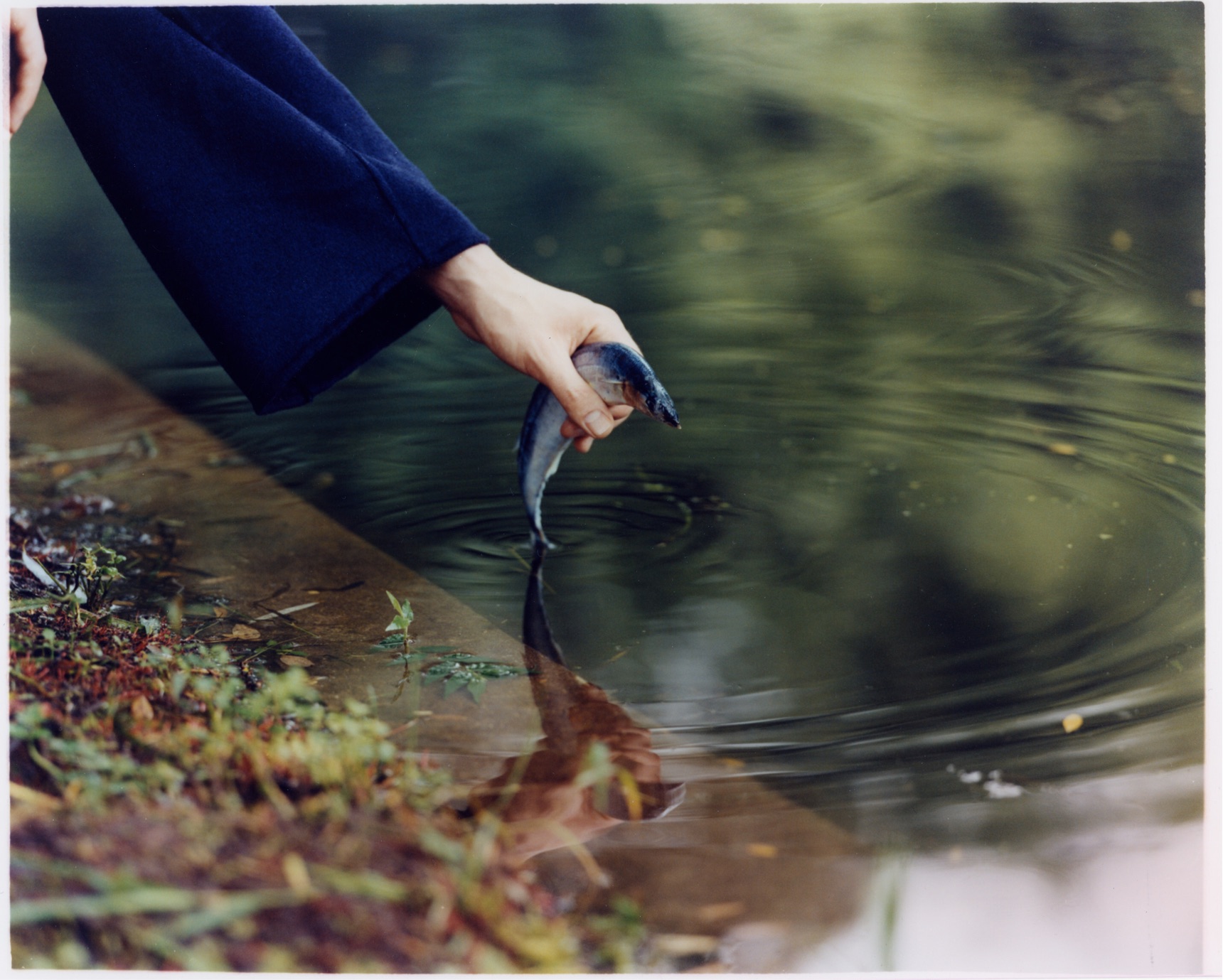 〈乌托邦主义〉_3