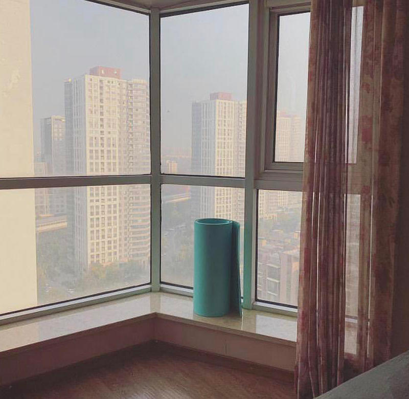 Beijing-Chaoyang-Cat lover,👯‍♀️,Shared Apartment,Seeking Flatmate