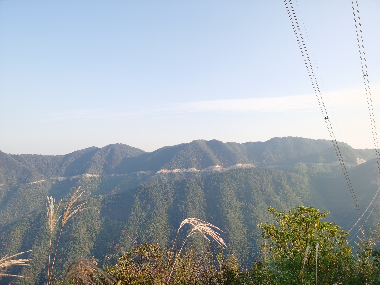 丛林冒险 在线蹲室友 _3
