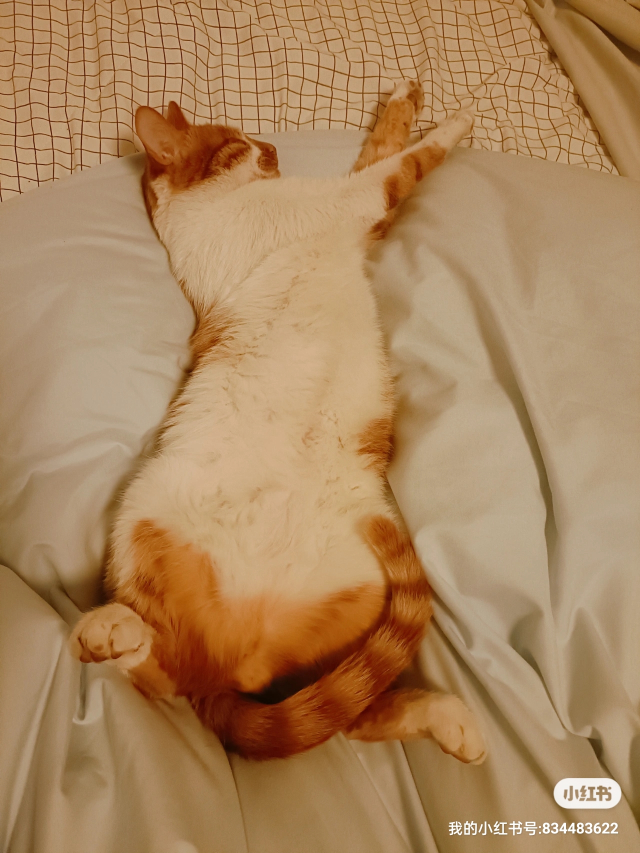 杭州美院小姐姐在线蹲舍友！_2