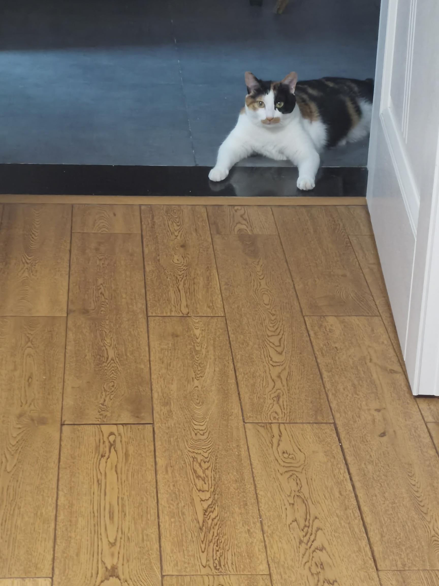 ChengduGaoxinShared ApartmentSeeking FlatmateLong TermShort Term