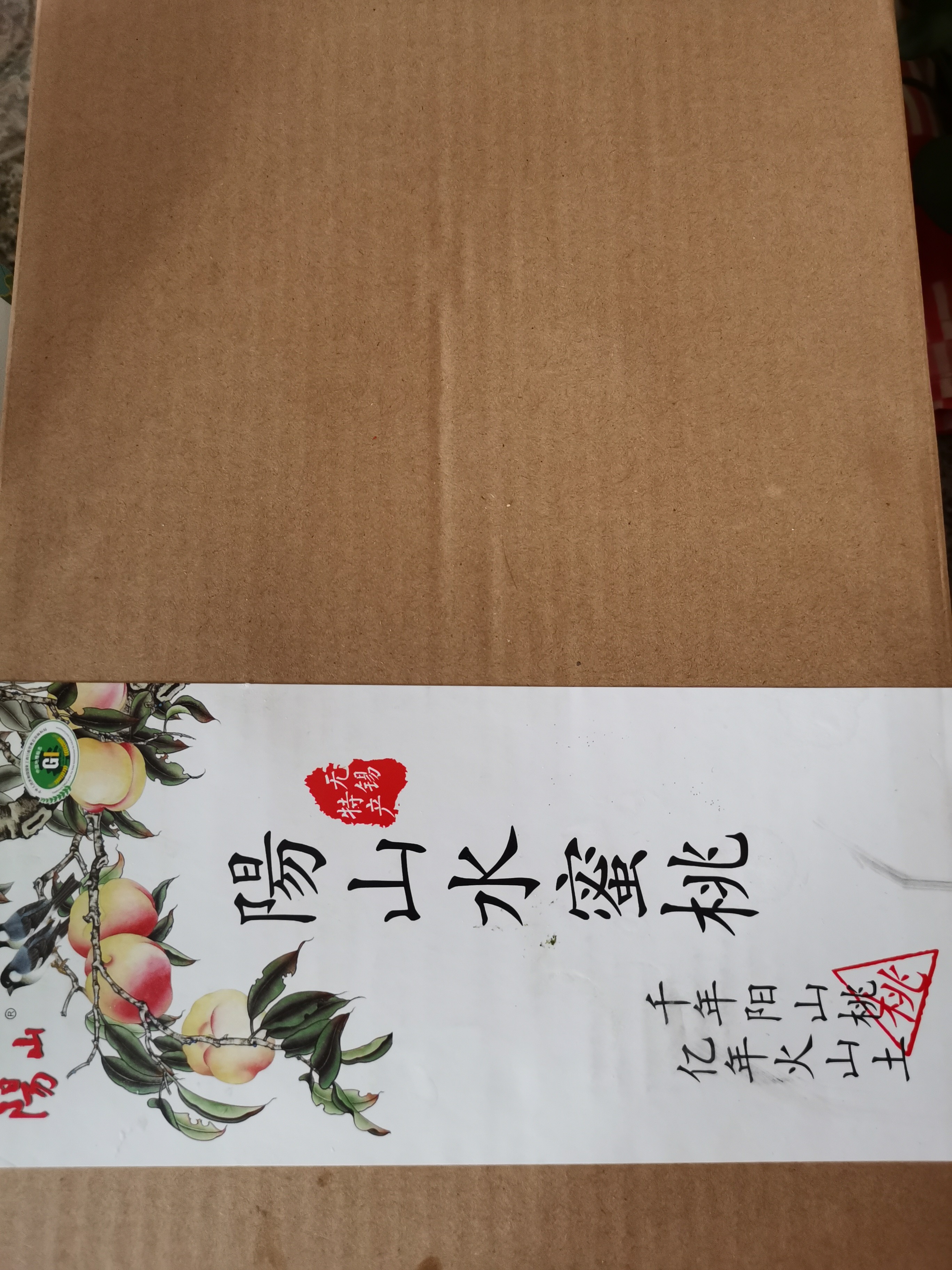 疫情锻炼不易…奖励桃子吃一下  完美_2