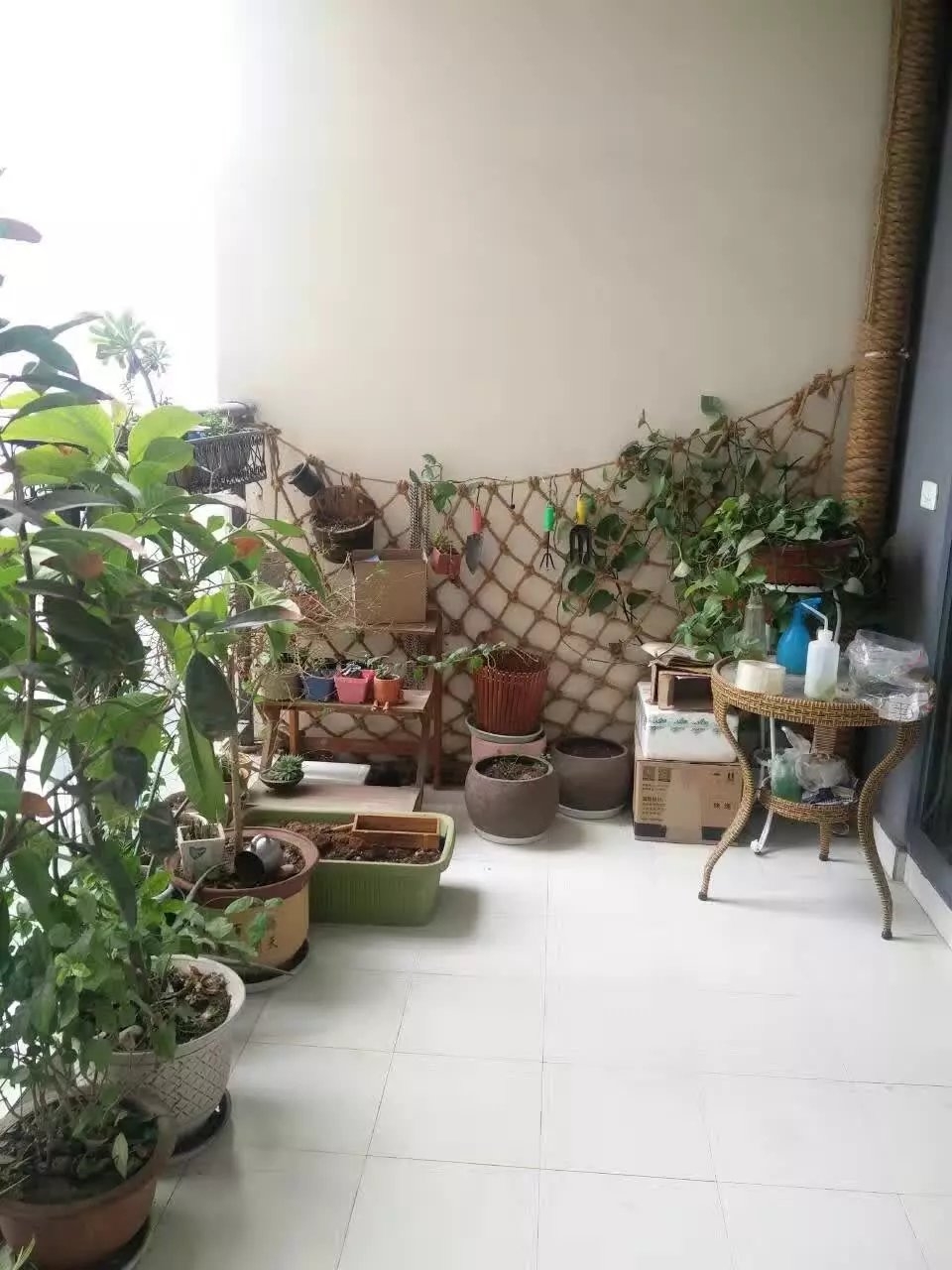 Chongqing-Jiulongpo-Sublet