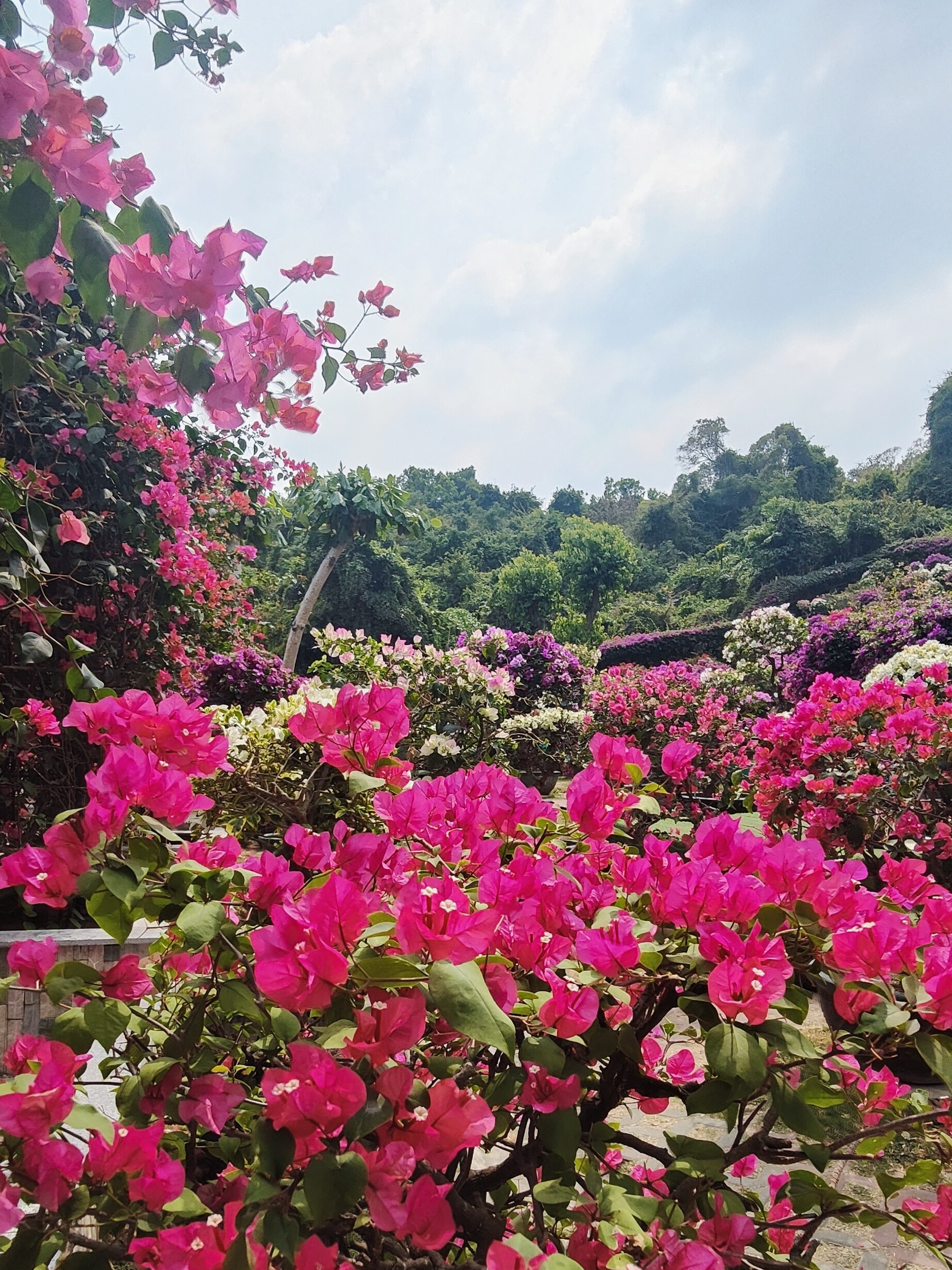三亚旅游（海岛旅行日记）_2