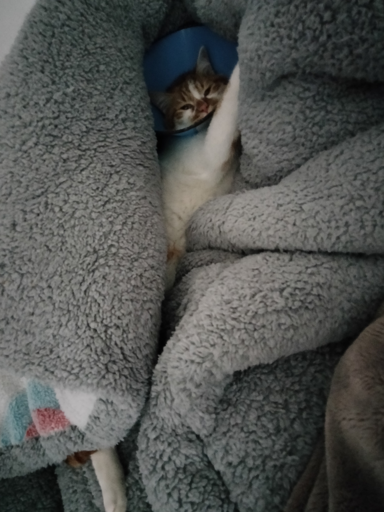 Eggy finds refuge. _2