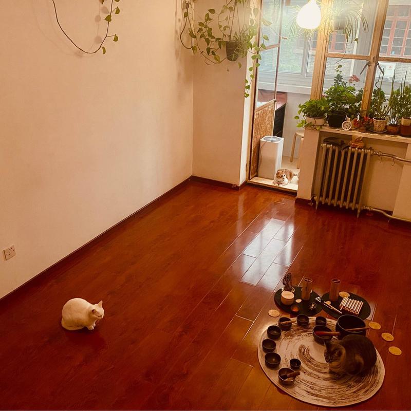 Beijing-Dongcheng-2 rooms,no-agent,7月July,北新桥,整租,Short Term,Sublet,LGBTQ Friendly,Replacement