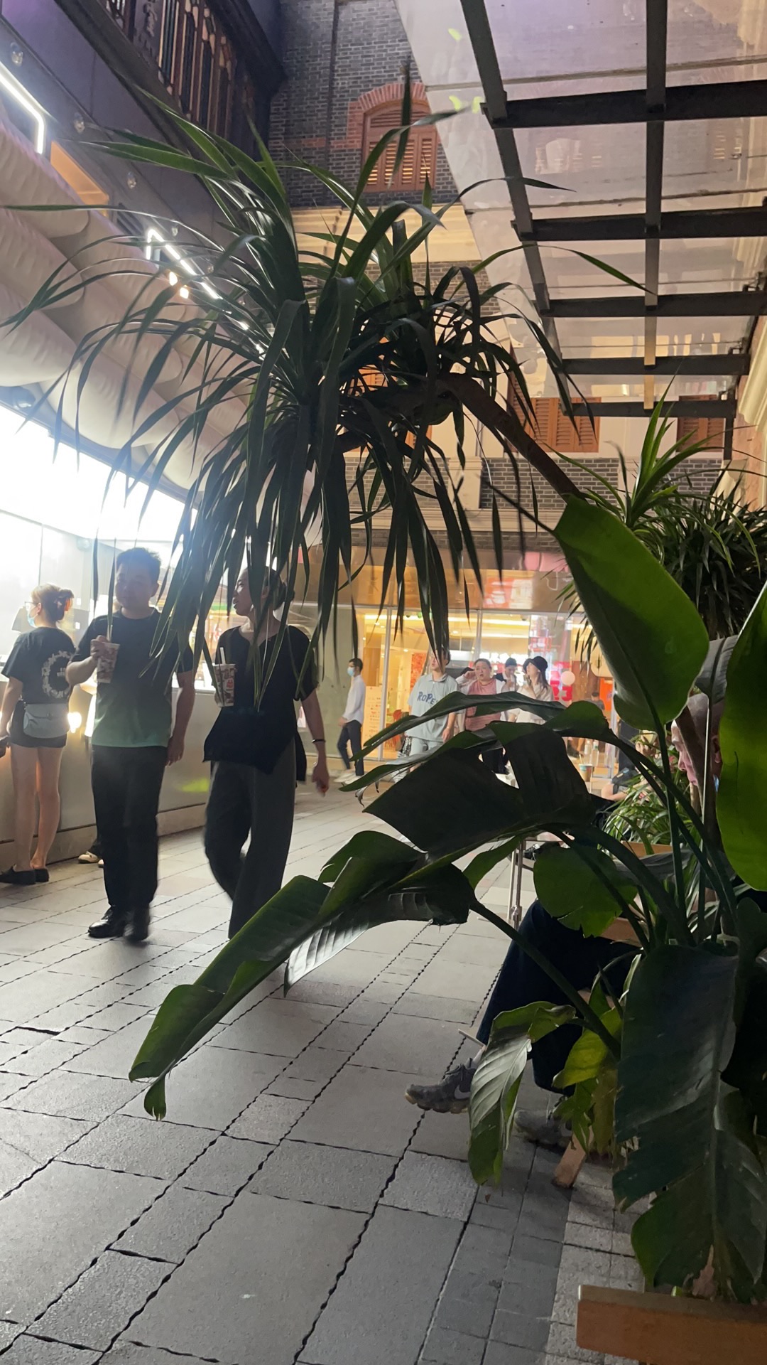 南京西路附近找室友_3