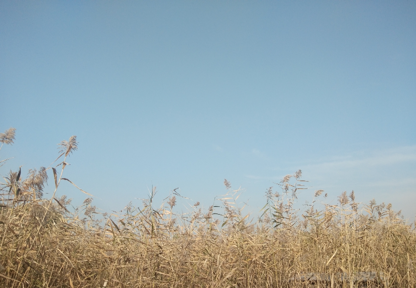 life_photo_0