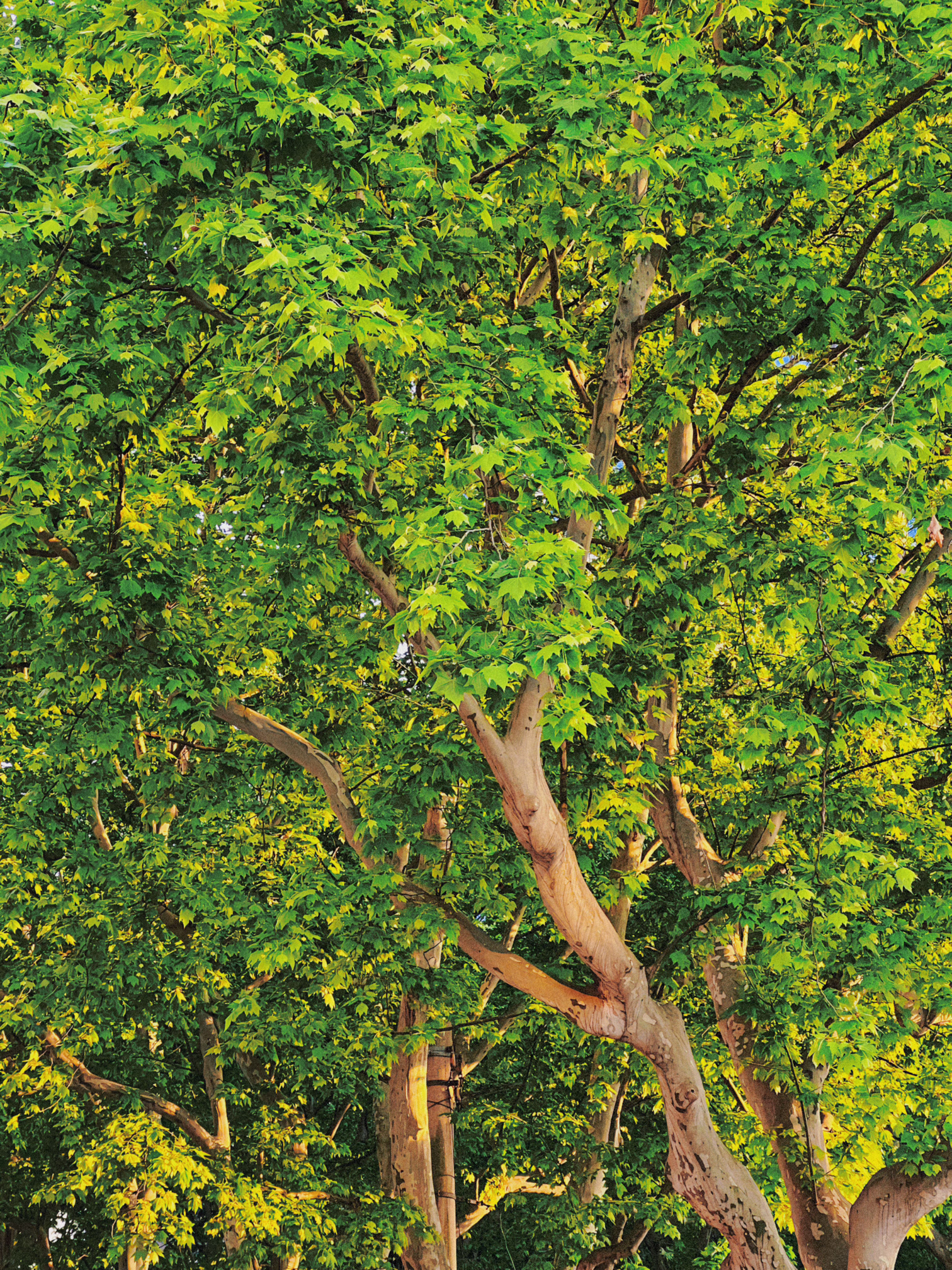 life_photo_2