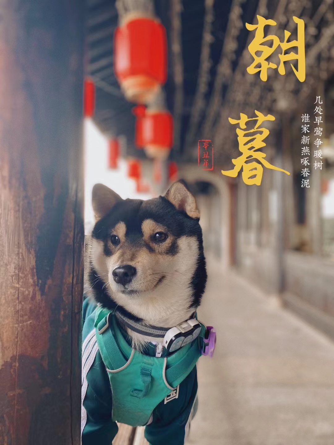萌萌达！ Social  Pets _2