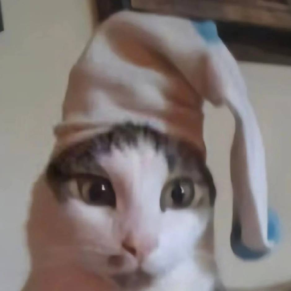 糖醋里脊鉴赏大师