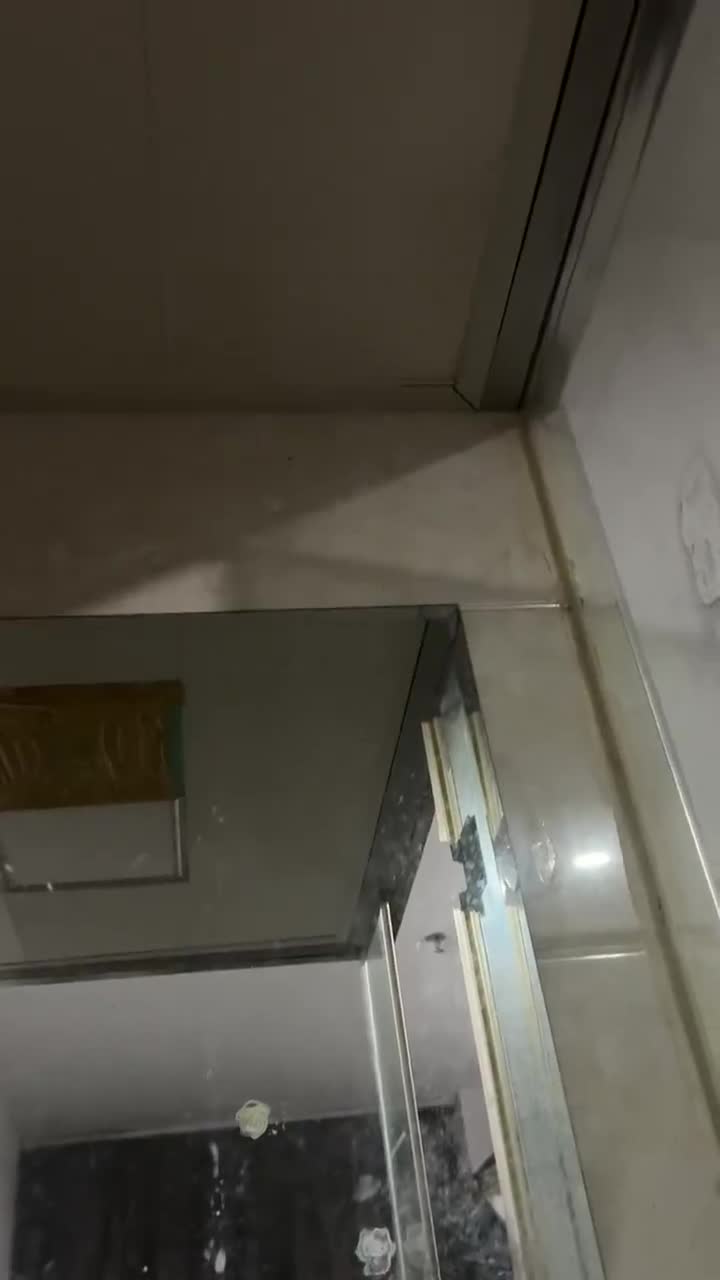 猜猜这是啥？
